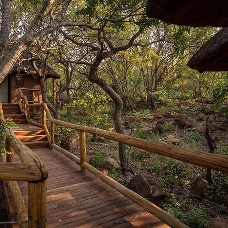 Tshwene Lodge Vaalwater Kültér fotó