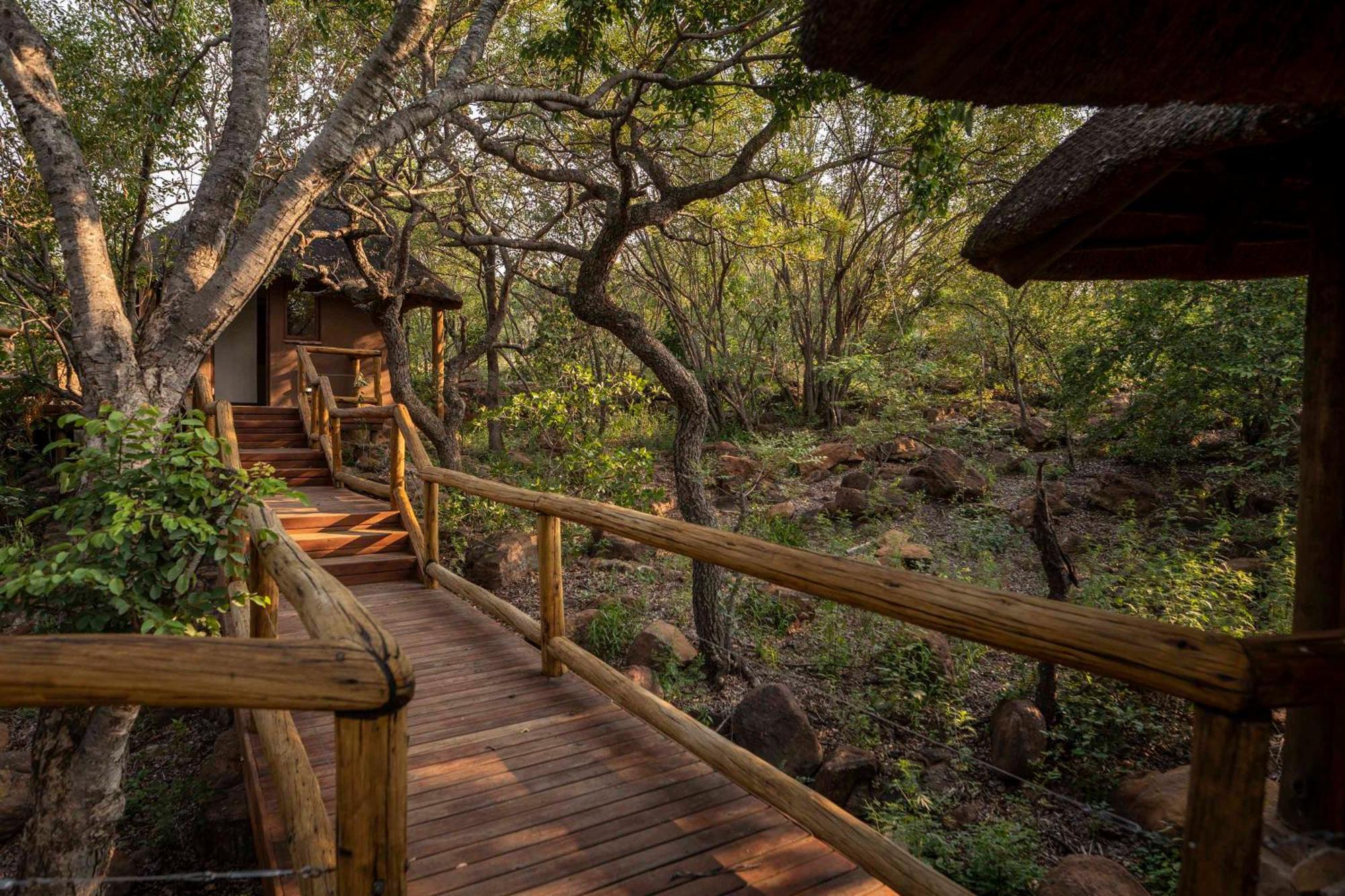 Tshwene Lodge Vaalwater Kültér fotó