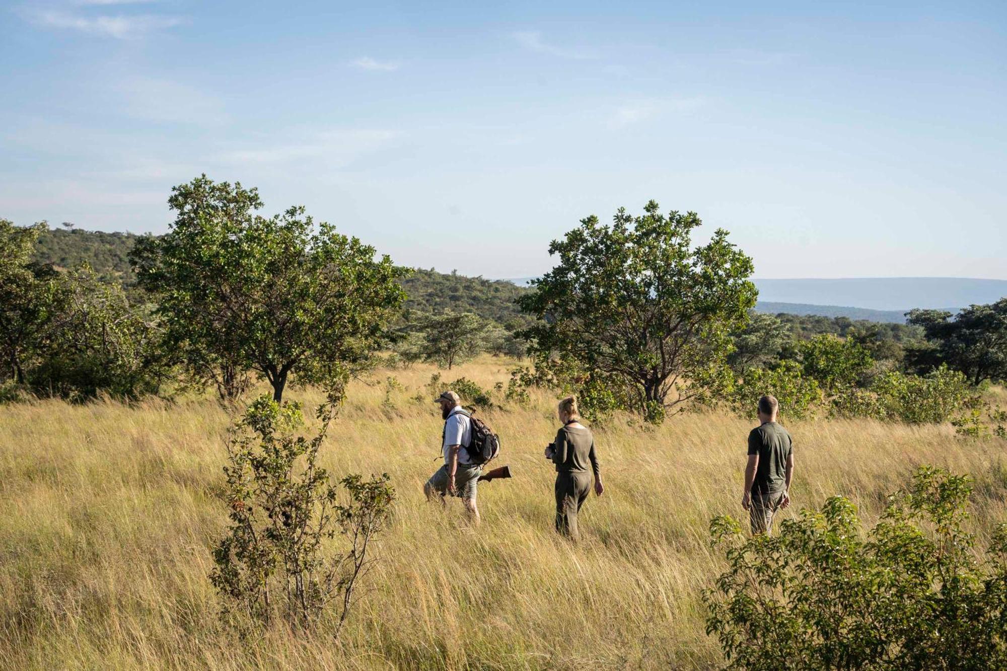 Tshwene Lodge Vaalwater Kültér fotó