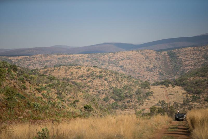 Tshwene Lodge Vaalwater Kültér fotó
