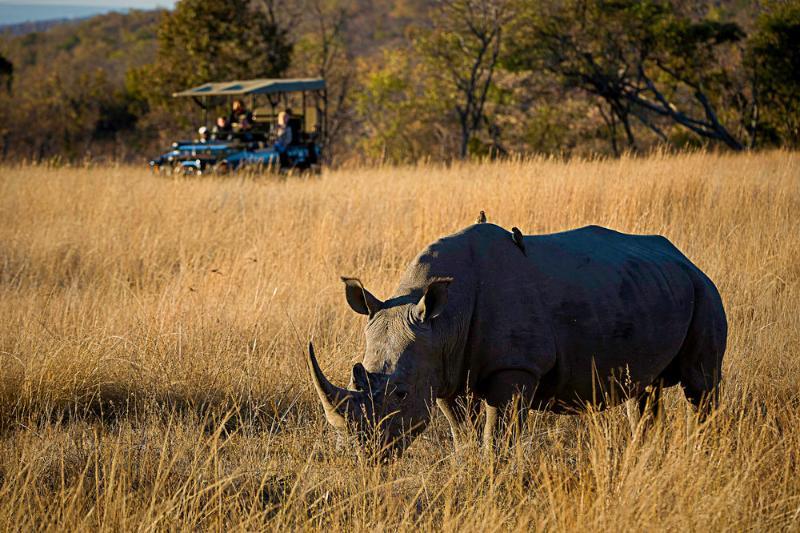 Tshwene Lodge Vaalwater Kültér fotó