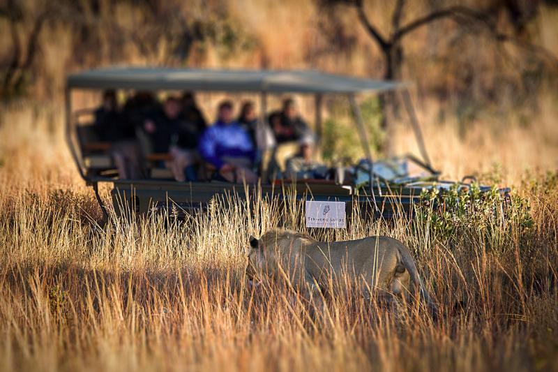 Tshwene Lodge Vaalwater Kültér fotó